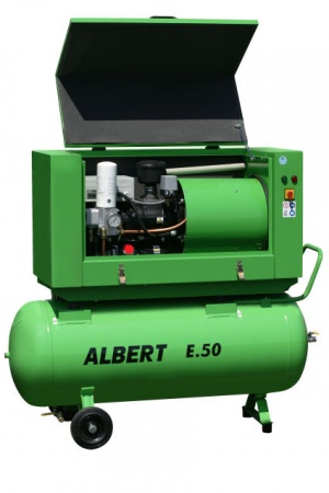 Albert E.50
