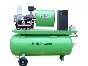 Albert E.100 Vario
